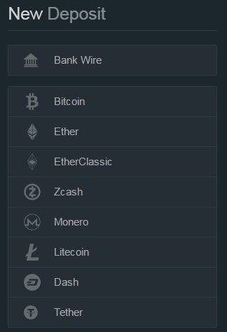 bitfinex deposit options