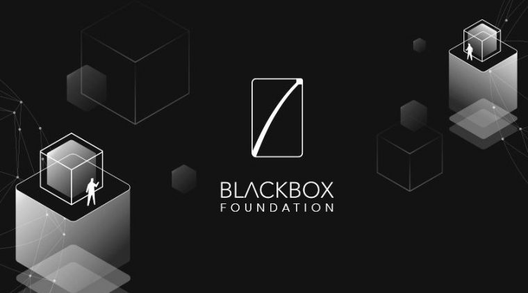 Image result for blackbox ico reviews