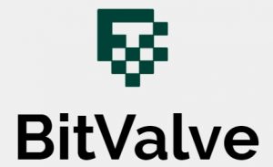 BitValve