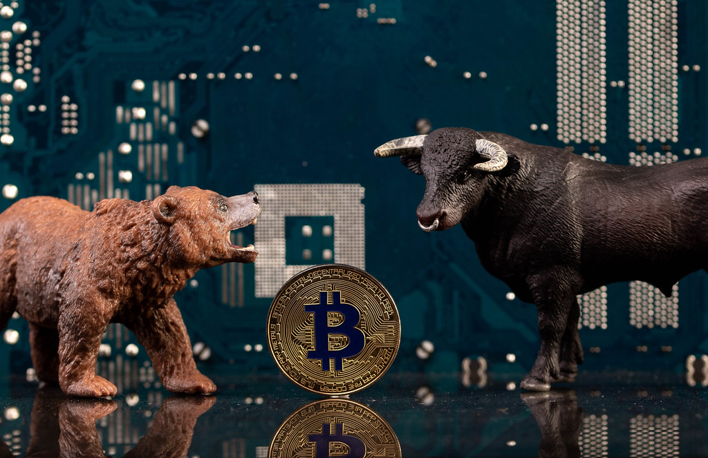 bear vs bull crypto