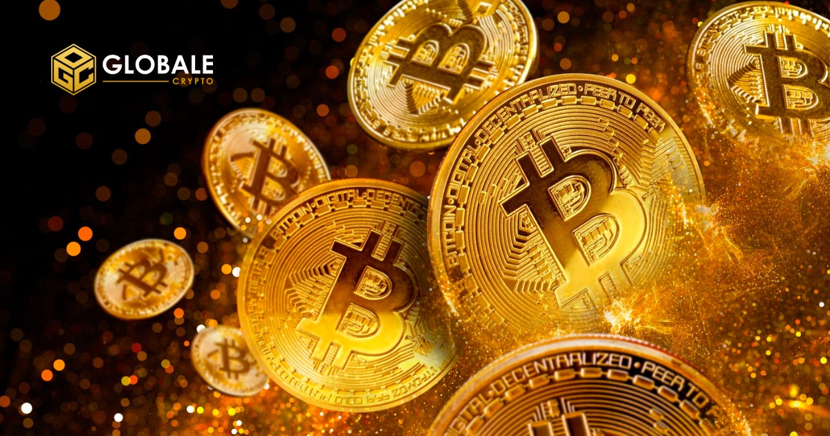 What you need to know